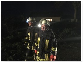 Geschafft! Der Baum ist zerlegt